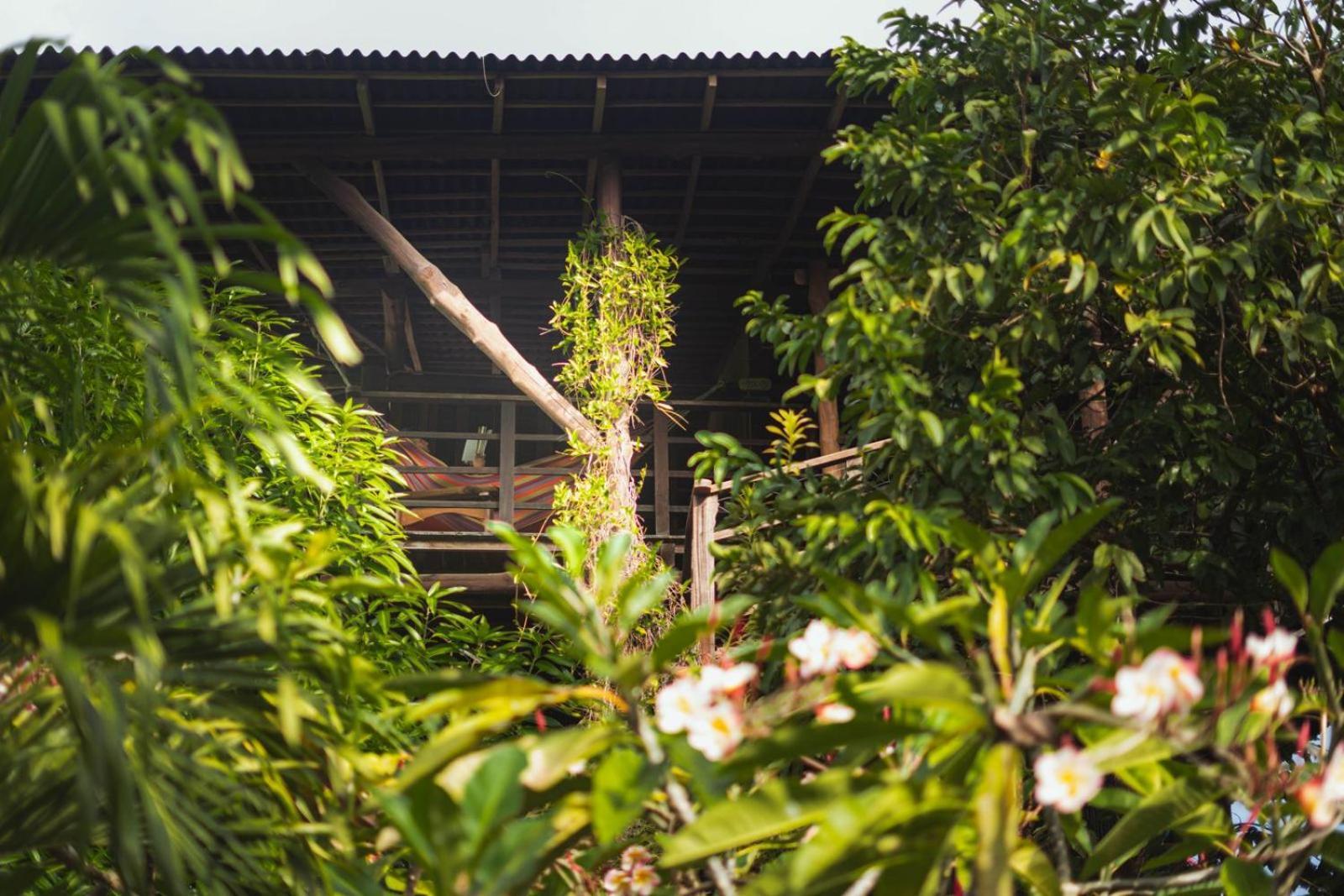 Nubá Boutique Hostel Palomino Exterior foto